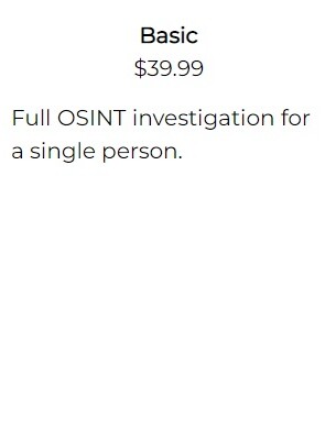 online private investigations